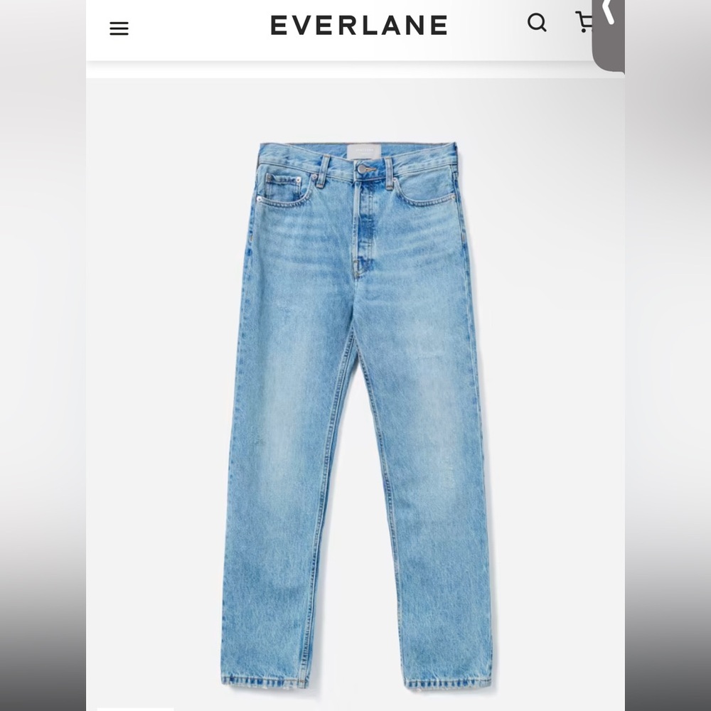 Everlane Rigid Slouch Jean
